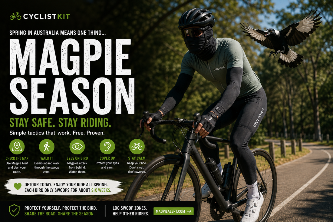 Magpie swooping season cyclist safety guide Australia